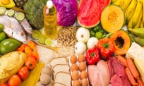 food-nutrition