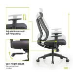 featherlite-liberate-high-back-mesh-home-office-ergonomic-chair-with-multi-lock-mechanism-high-back