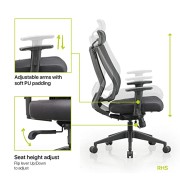 Featherlite ''Liberate'' High Back Mesh Home & Office Ergonomic Chair with, Multi Lock Mechanism (High Back)
