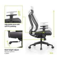 Featherlite ''Liberate'' High Back Mesh Home & Office Ergonomic Chair with, Multi Lock Mechanism (High Back)