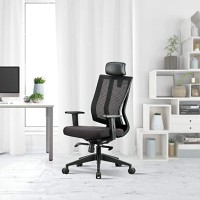 featherlite-liberate-high-back-mesh-home-office-ergonomic-chair-with-multi-lock-mechanism-high-back