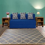 sofa-cum-bed-for-home