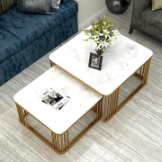 Square Coffee Tables,2 Square Nesting Table Set Coffee Table with Storage Open Shelf for Living Room Modern Minimalist Style Furniture Side End Table (Gold & White)