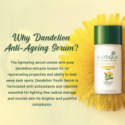 Biotique Dandelion Youth Anti- Ageing Serum For All Skin Types, 40ml